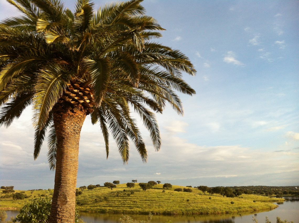 PortugalAlentejoCasaErmidaHouseApril2013-9