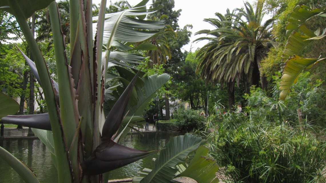 PortugalLisbonEstrelaGardens