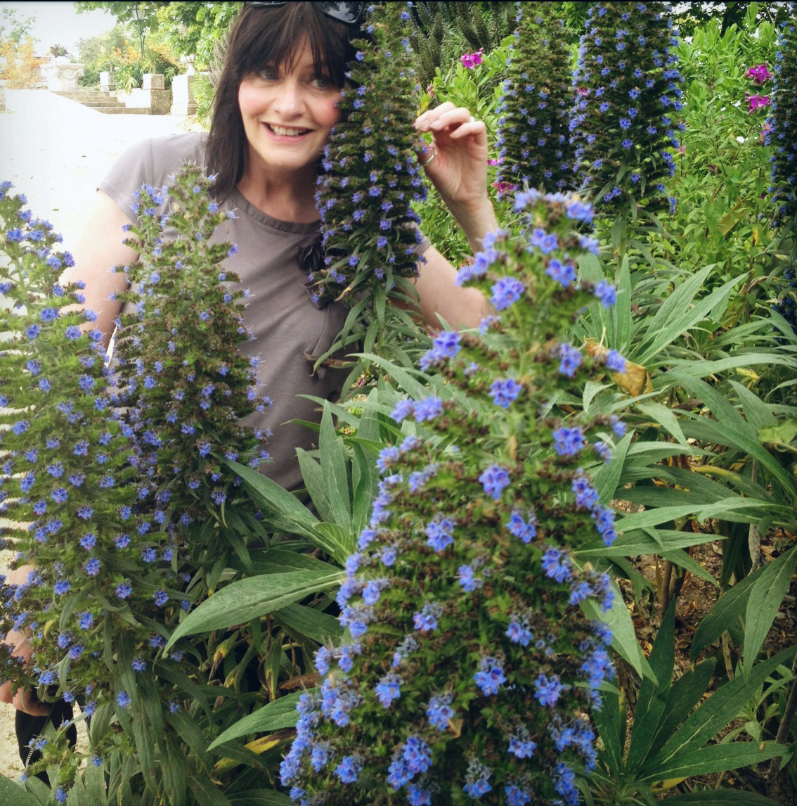 PortugalSintraMonserrateGardensApril2013-2