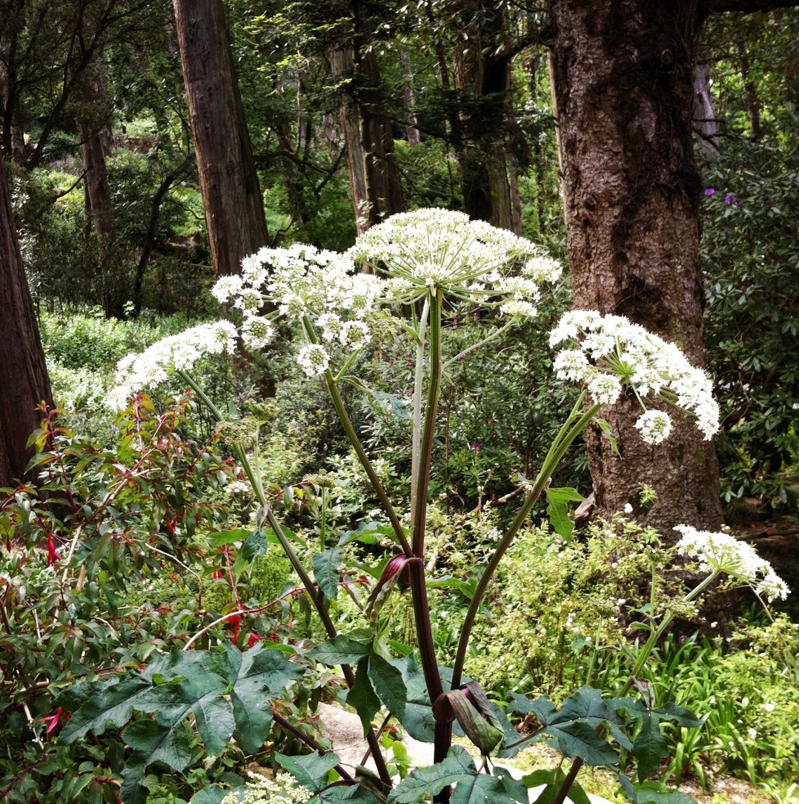 PortugalSintraPenaNationalPalaceGardenApril2013-1Crop