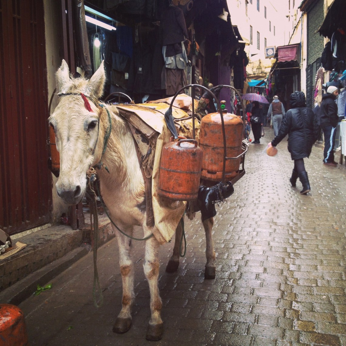 FesMedinagasdeliveryJan2014