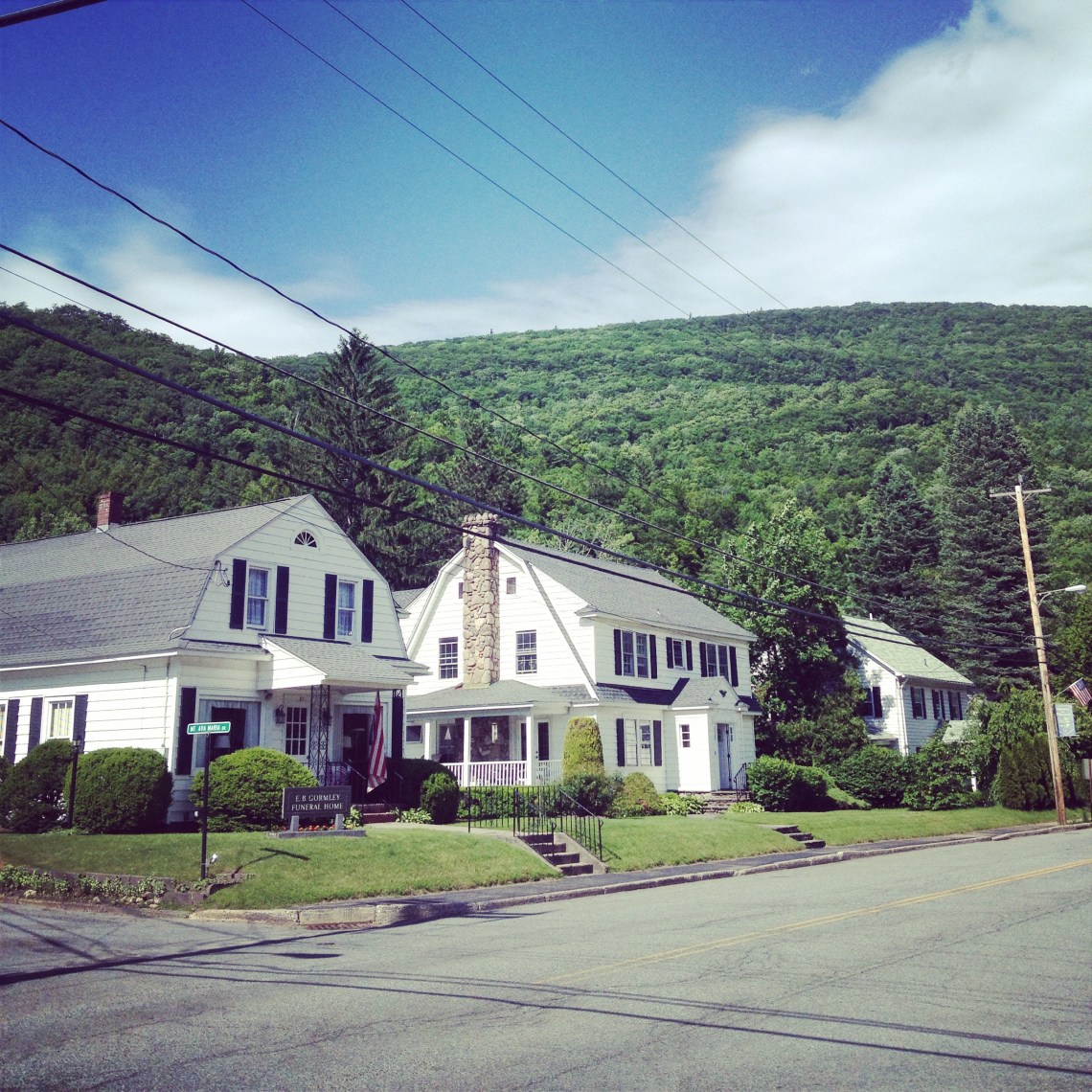 CatskillsPhoeniciaJune2014-8