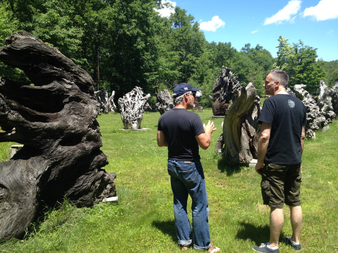 CatskillsUSHighFallsJune2014-4