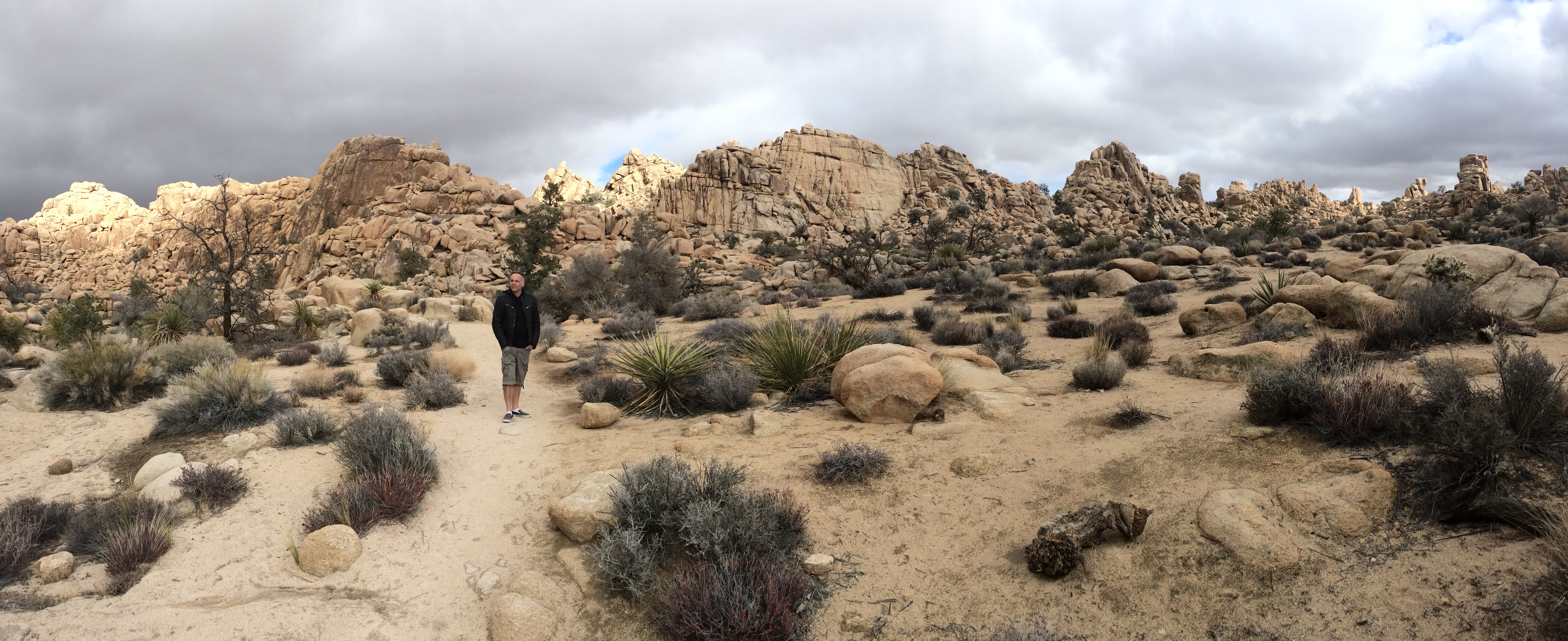 JoshuaTreeDavePanoJan2016