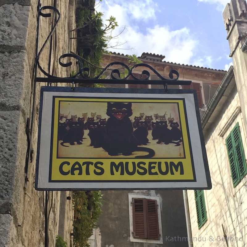 MontenegroKotorCatMuseum