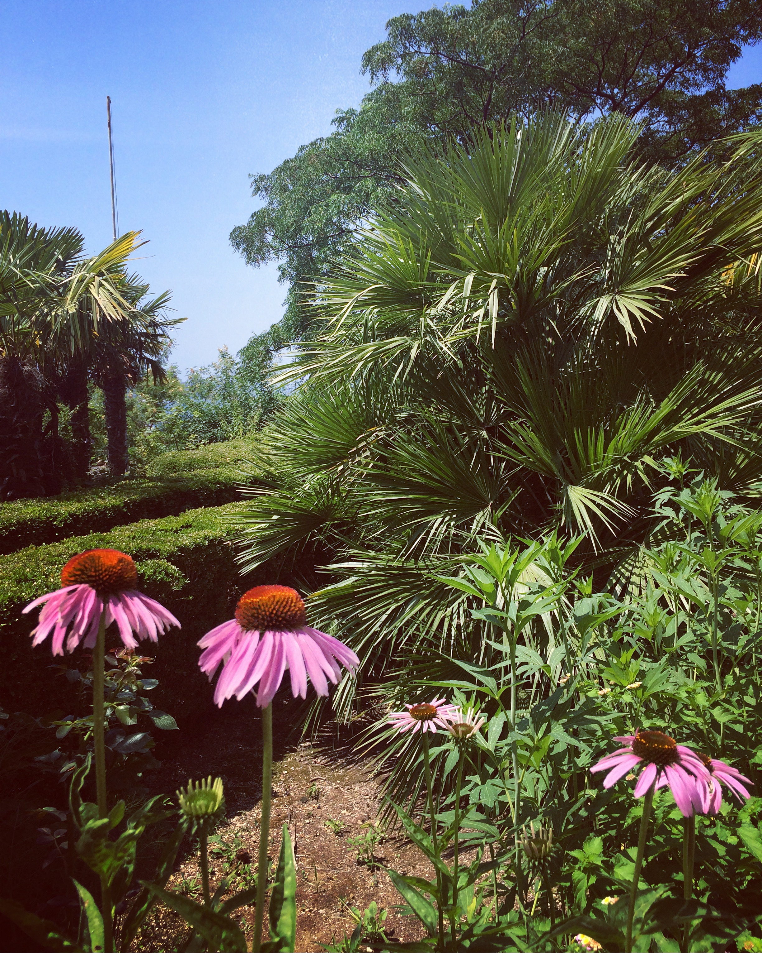 TrstenoArboretumCroatia8