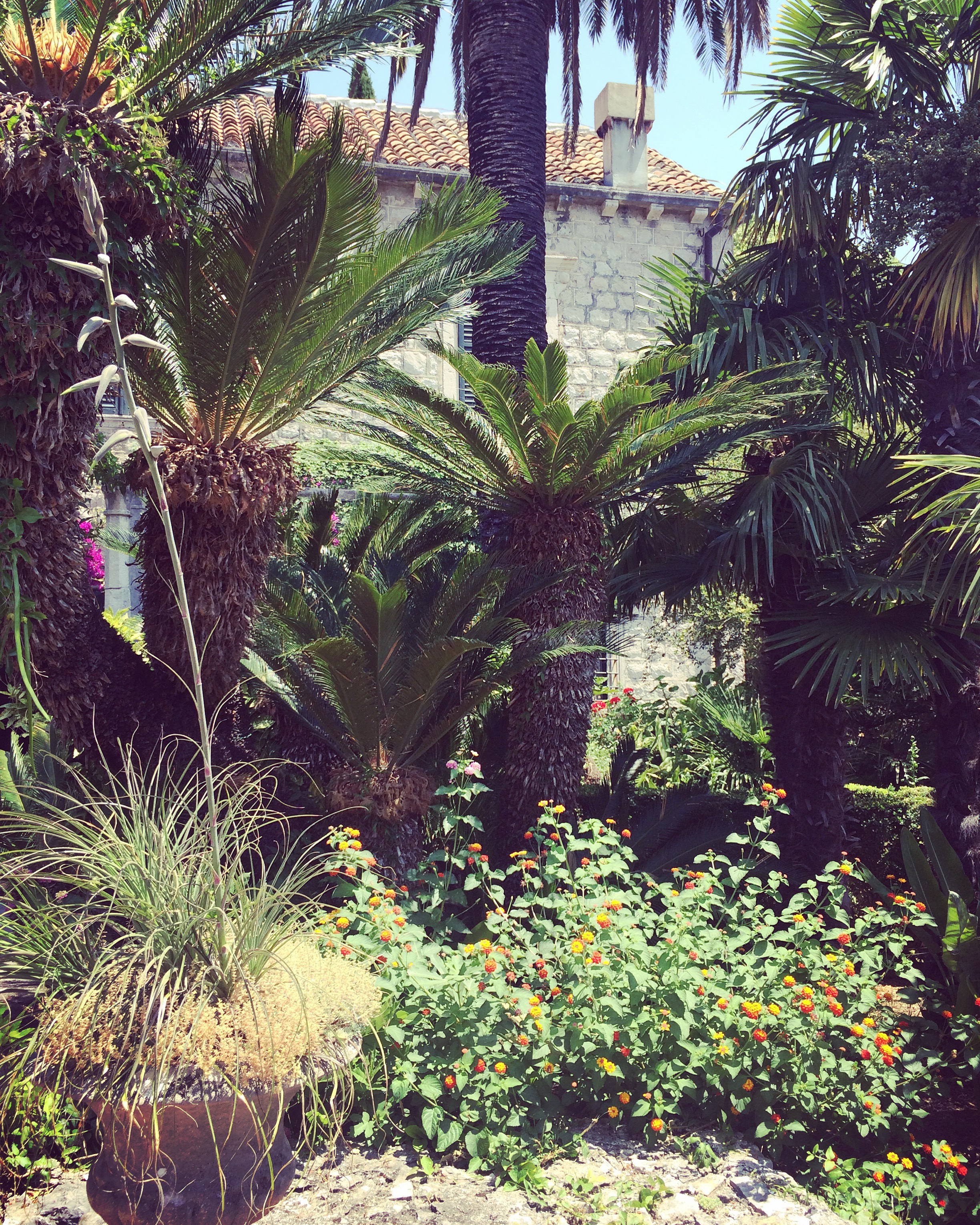 TrstenoArboretumCroatia9