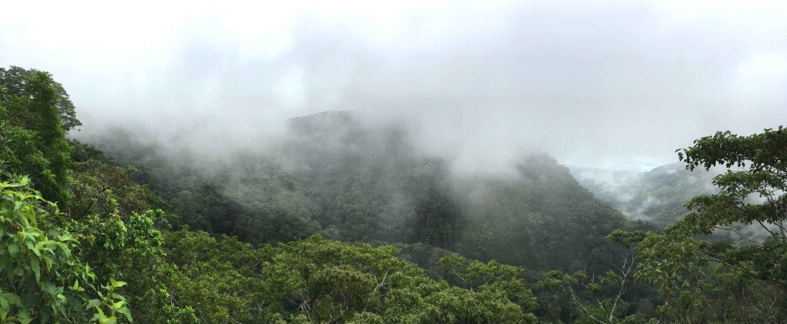 CostaRicaMonteverdeEcoSanctuarylookoutSMALL