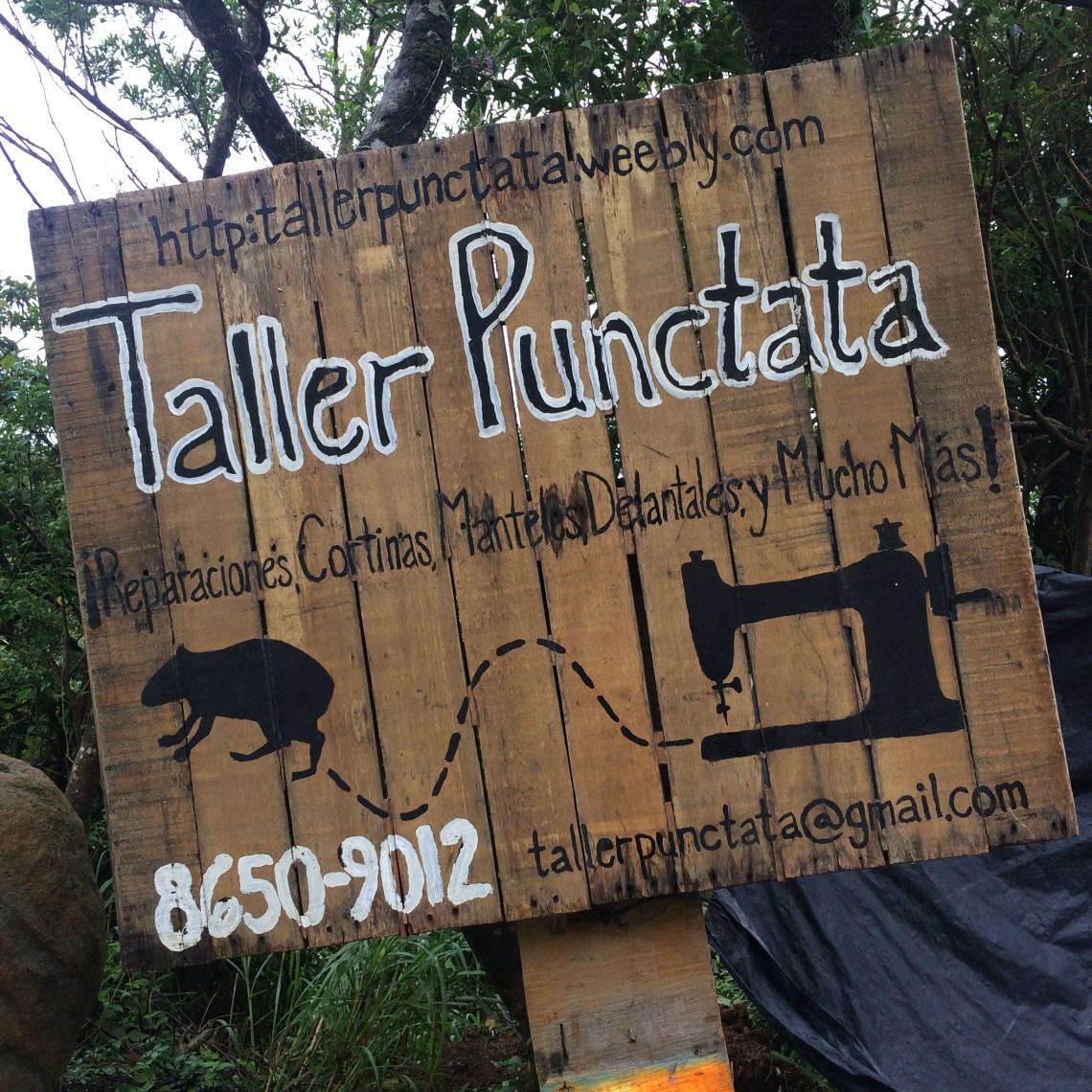 CostaRicaMonteverdeSanta Elena2