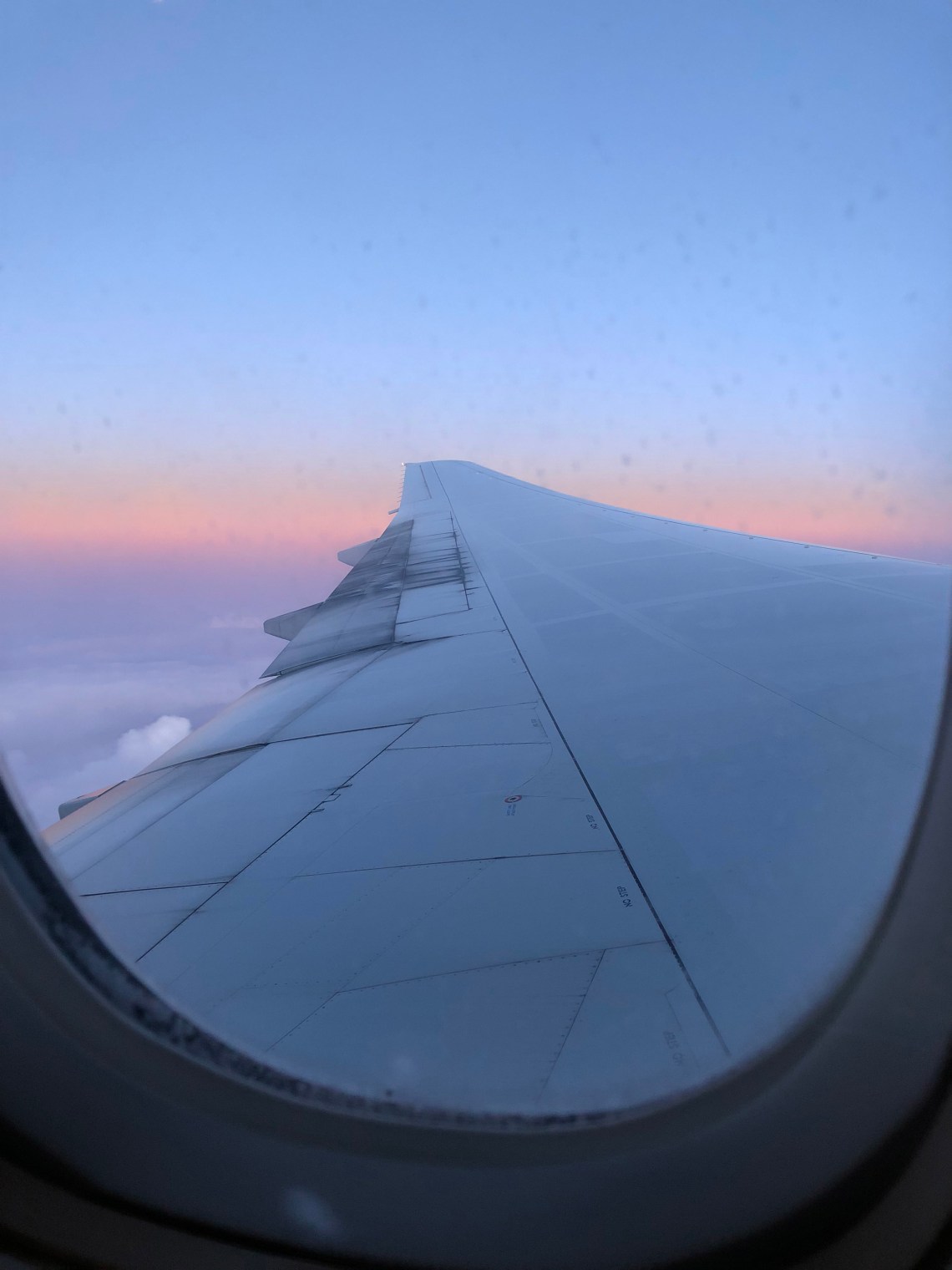 PuntaCanaDR2017flyhomesmall