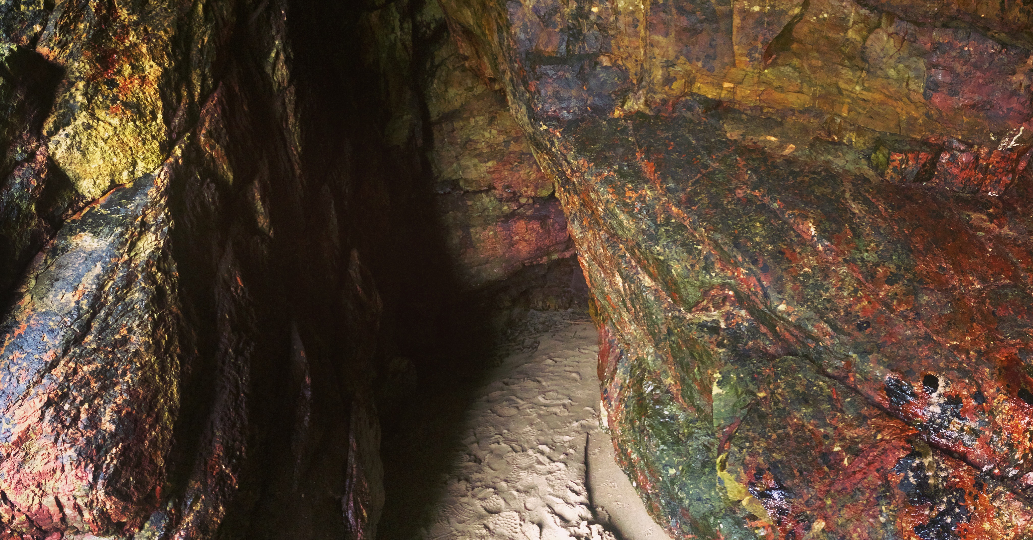 GoatIrelandWaterfordIrelandApril2017-3