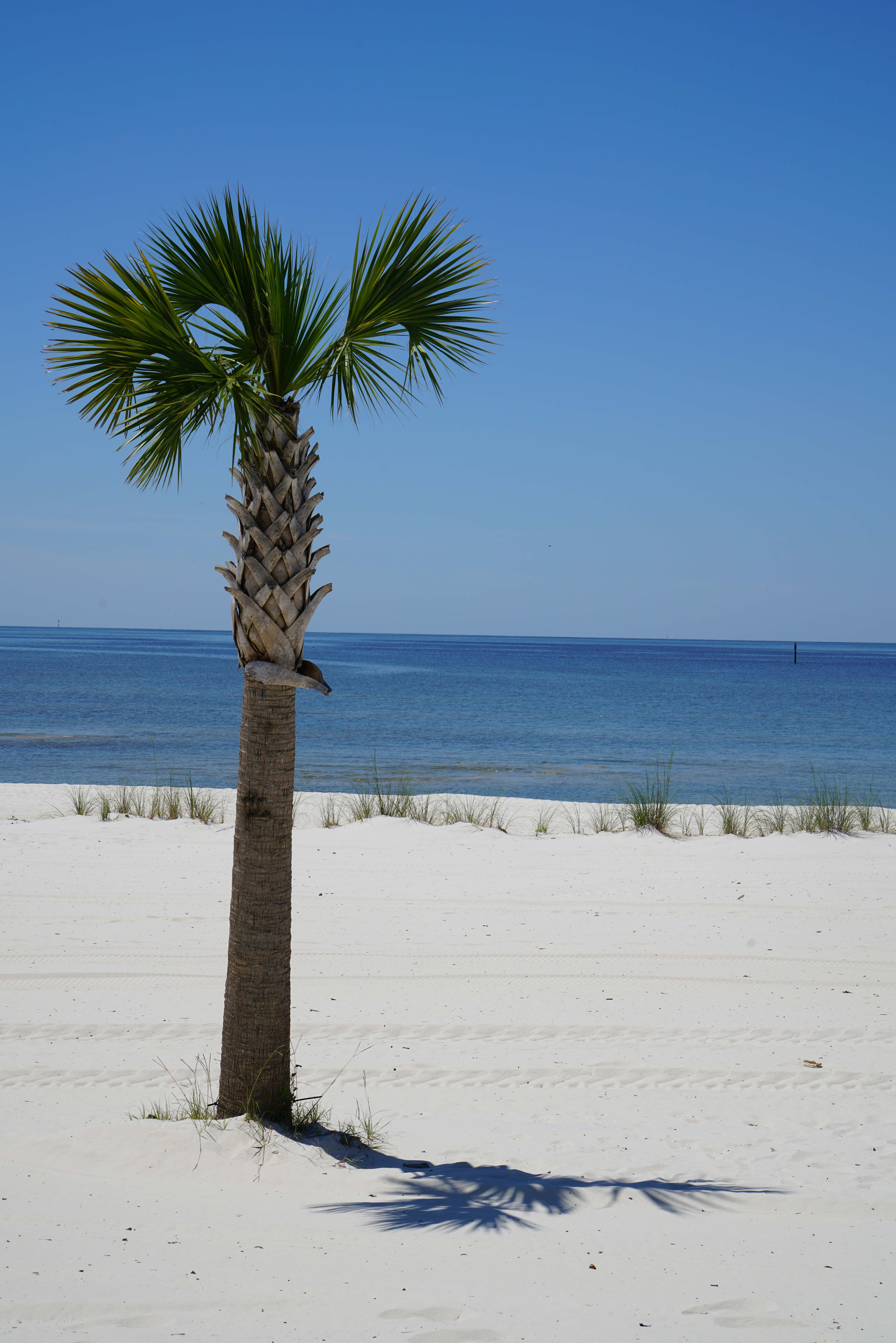 GulfCoastOceanSpringsMSJune2019-5BLOG