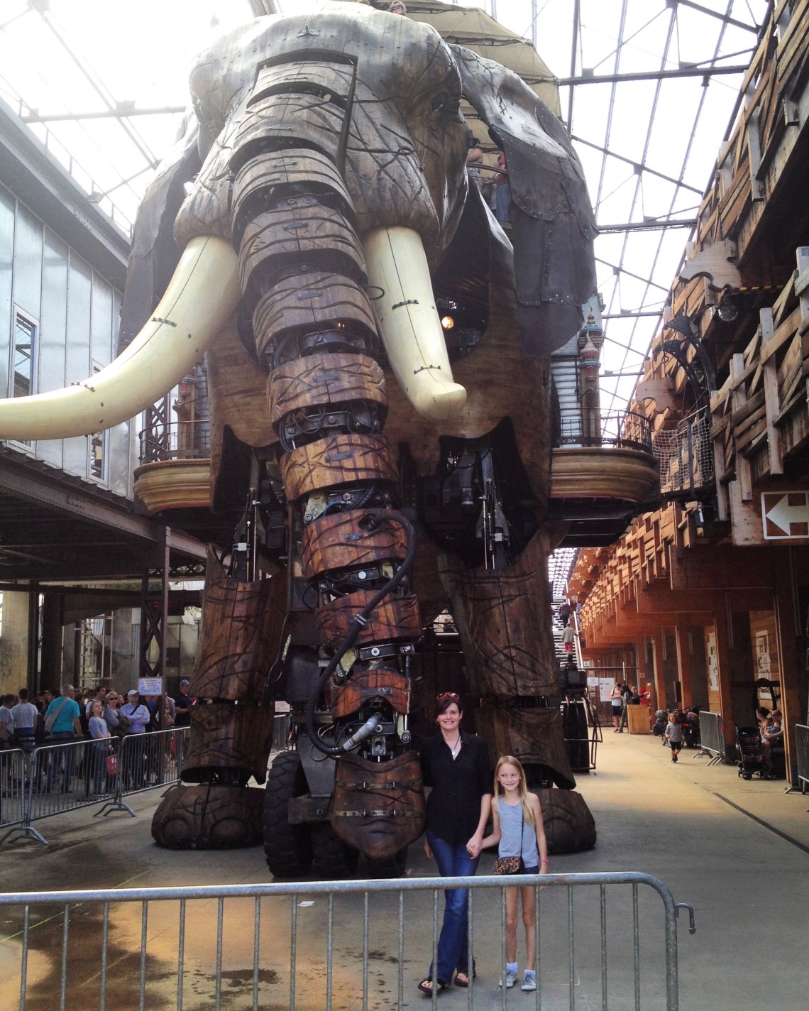 Nanteselephant2014-2