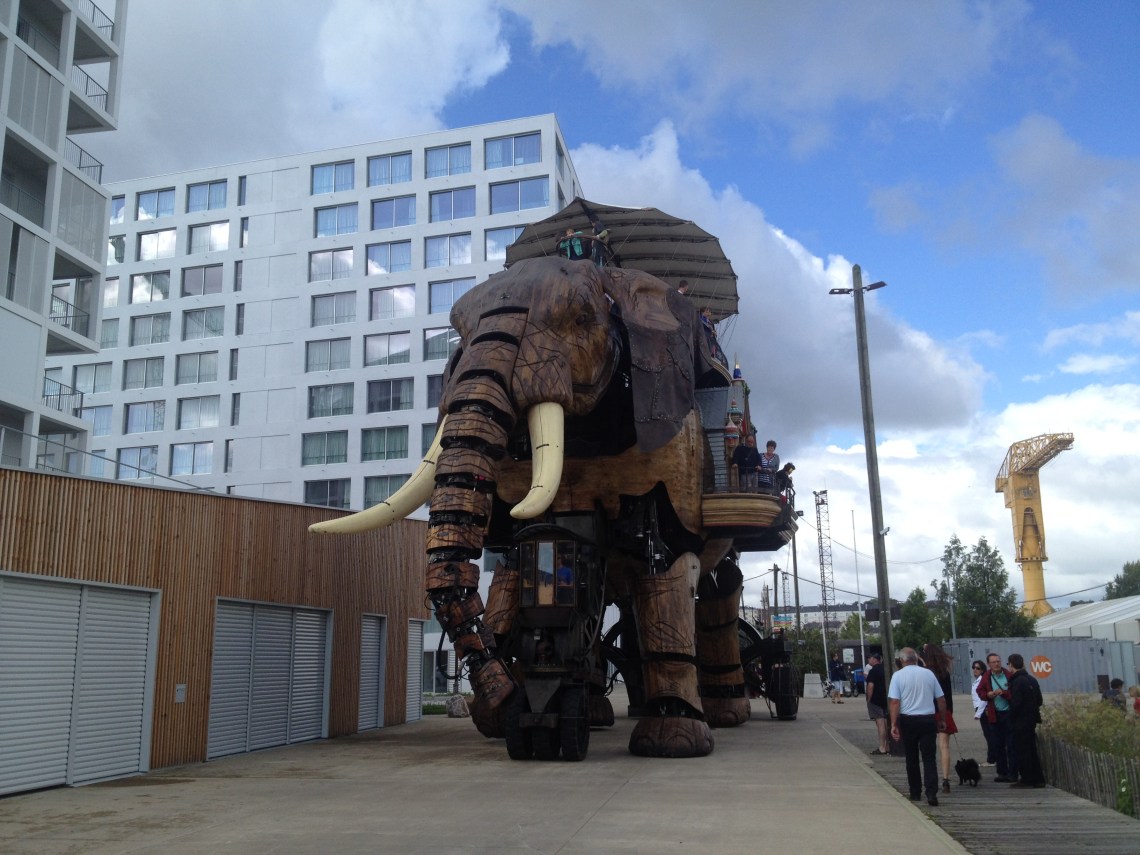 Nanteselephant2014-4