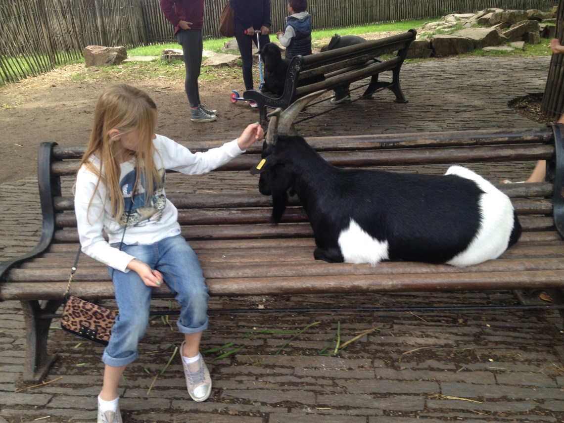 NantesJardinDes Plantes2014-8