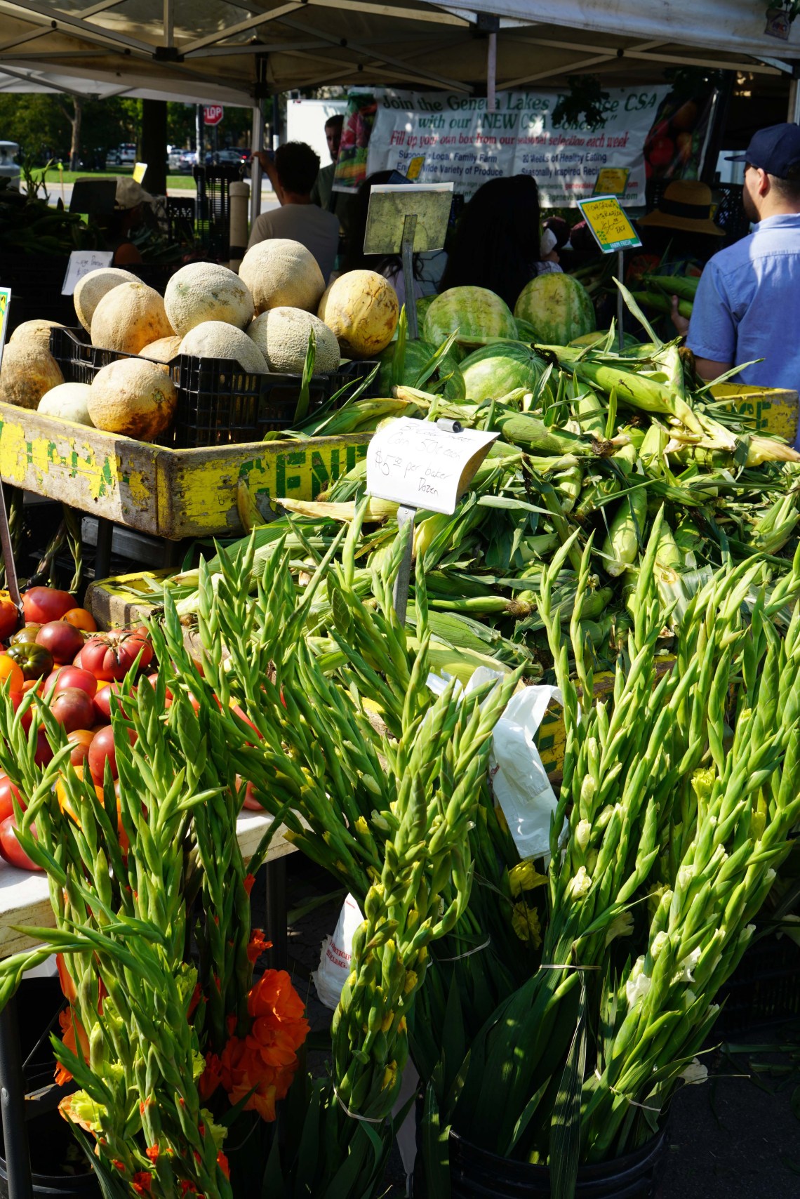 ChicagoLoganSqSept2019-1