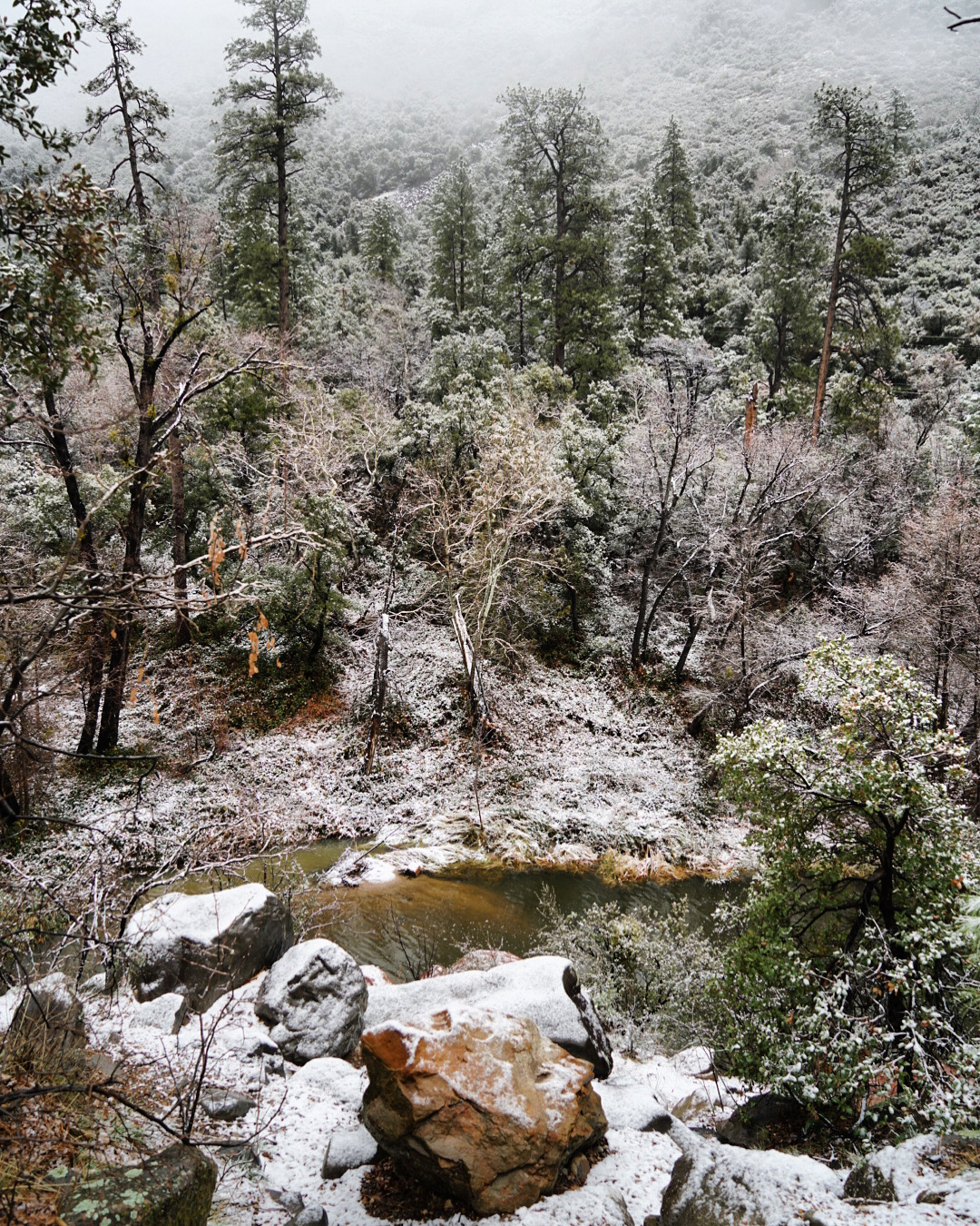 ArizonaSedonaOakRidgeDec2019INSTA-9