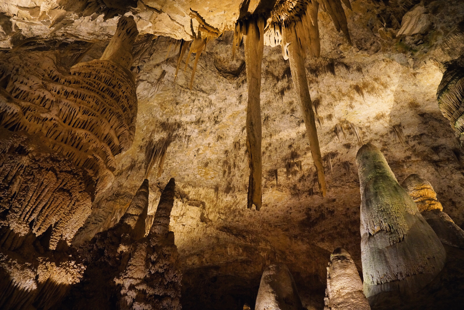 NewMexicoCarlsbadCavernsDec2019-6