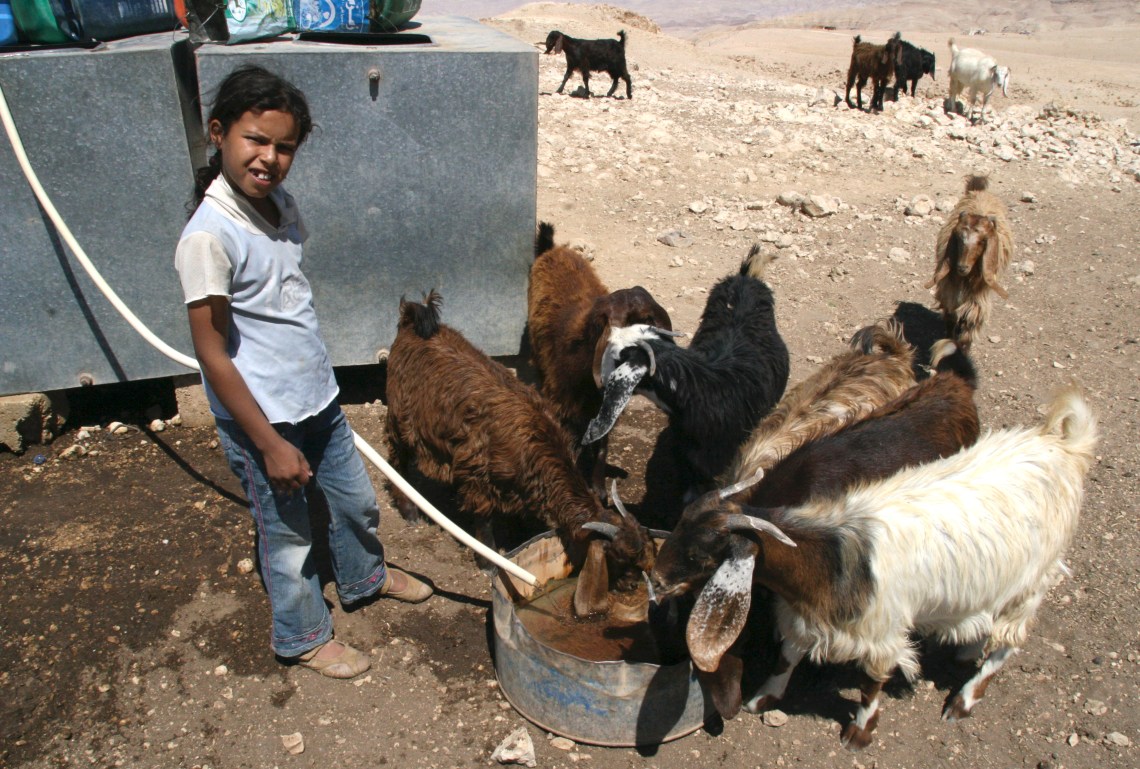 JordanMountNebobedouinSept2010-2