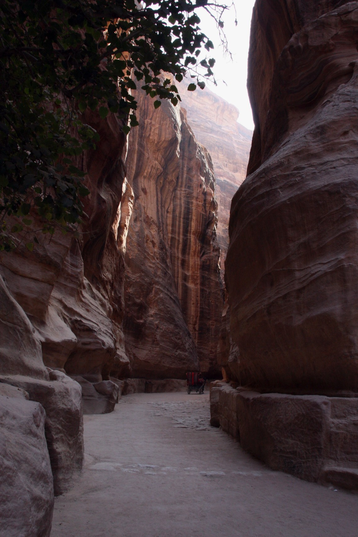 JordanPetraGorgeSept2010-2